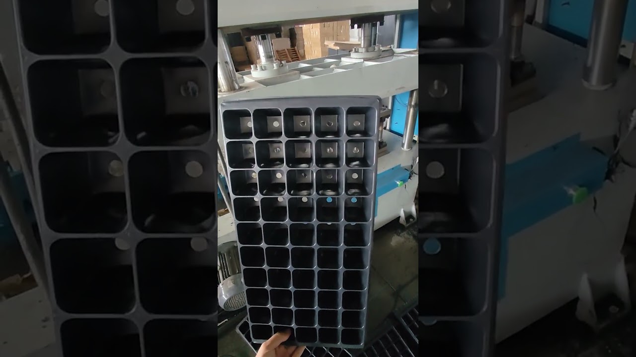 Cheap Plastic 50 Cell Plug Trays for Pepper Plants 