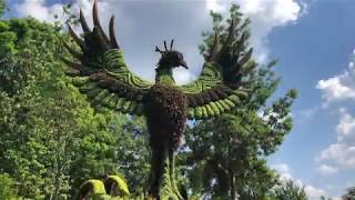 Behind the Scenes: Atlanta Botanical Gardens: Imaginary Worlds