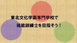 視能訓練士科の特徴と学びについて