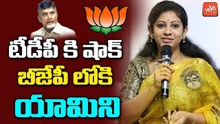 Sadineni Y Joining Bjp? Chandrababu Naidu Tdp Ap News Yoyo Tv Channel