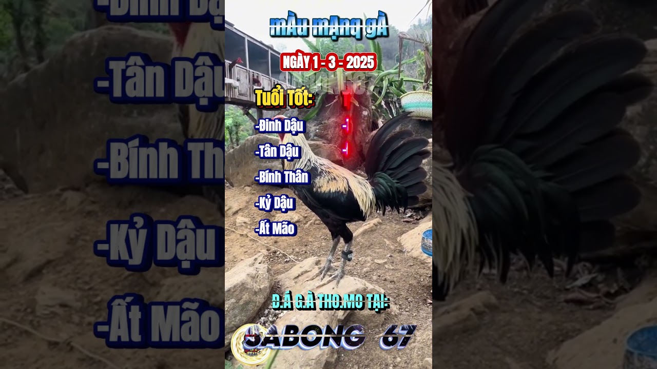 i9bet 100k app🥔Trò chơi màu mạng gà ngày 1-3 maumang maumanggada daga sabong67 maumangga shorts toiyeudongvat