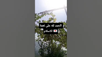 أحمدوا الله انه نبينا محمدا ﷺ بدر المشاري صلوا على النبي Explore اكسبلور Shorts إسلامي تاجي 