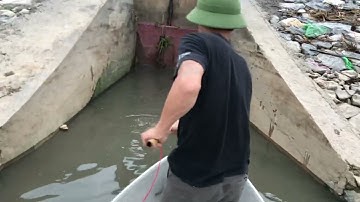 Thực tế kích cá rô phi trên sông lớn. 0985802199