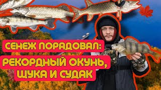 видео: Сенеж порадовал: РЕКОРДНЫЙ ОКУНЬ, щука и СУДАК картинка: Сенеж порадовал: РЕКОРДНЫЙ ОКУНЬ, щука и СУДАК