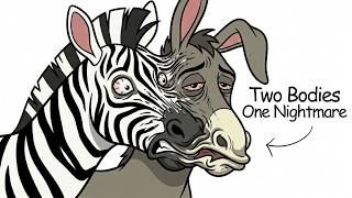 Why It Sucks To Be Born As a Zonkey