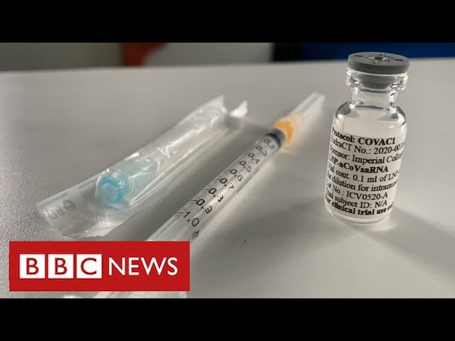 Oxford Vaccine Appears Safe And Triggers Immune Response Bbc News Youtube