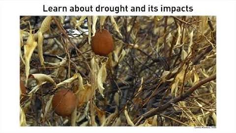 Dealing with Drought