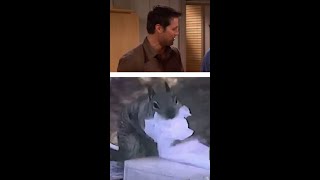 Where Is All The Tissues?