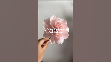 crepe paper flower tutorial: carnation #paperflowers #papercraft