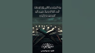 سورة التوبة | At-Tawbah | آية 90 | الشيخ وديع اليمني
