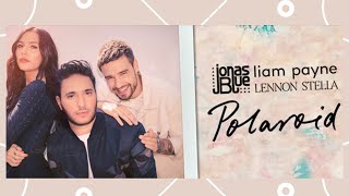Jonas Blue ft. Liam Payne + Lennon Stella - Polaroid (Acapella - Vocals Only)