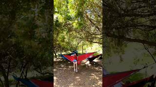Hammock Garden Setup Net Worth