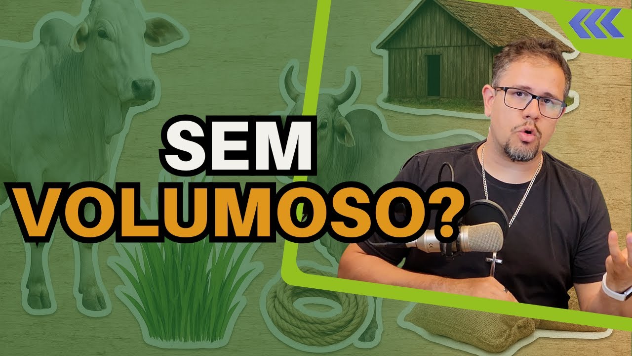 CONFINAMENTO SEM VOLUMOSO: riscos, adaptação e manejo correto