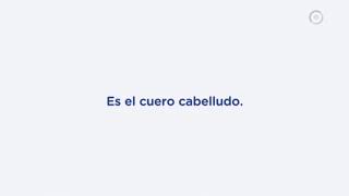 Publicidad Shampoo Baby Dove Unilever Argentina - Octubre 2019