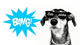 estopinha paródia bang anitta