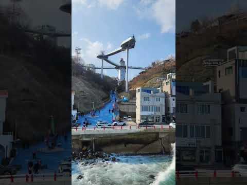 #묵호항#어달삼거리#동해#바다뷰