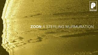 ZOON - Play Ground