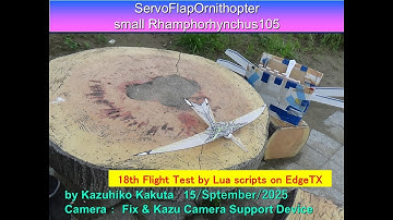 サーボ駆動翼竜型羽ばたき機 SFOsmall Rhamphorhynchus105 22g　: 18th Flight Test by Lua scripts on EdgeTX