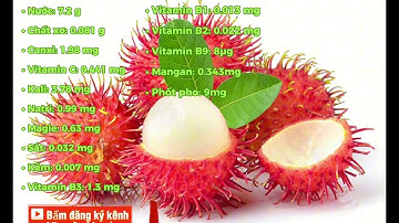 Dinh dưỡng từ trái Chôm Chôm đối với sức khỏe của con người