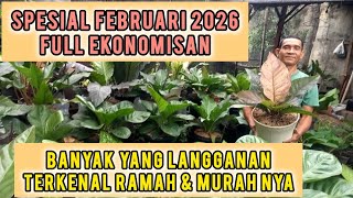 Download Lagu SPESIAL FEBUARI FULL  EKONOMISAN ‼️BANYAK YANG LANGGANAN TERKENAL RAMAH \u0026 MURAHNYA. MP3