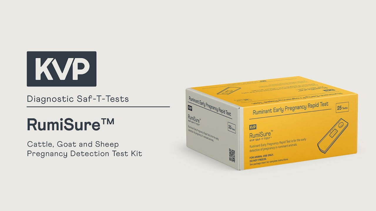 Fist Test Ruminant KVP RumiSure | Ruminant Pregnancy Rapid Test Kit for Cattle Goats and ...