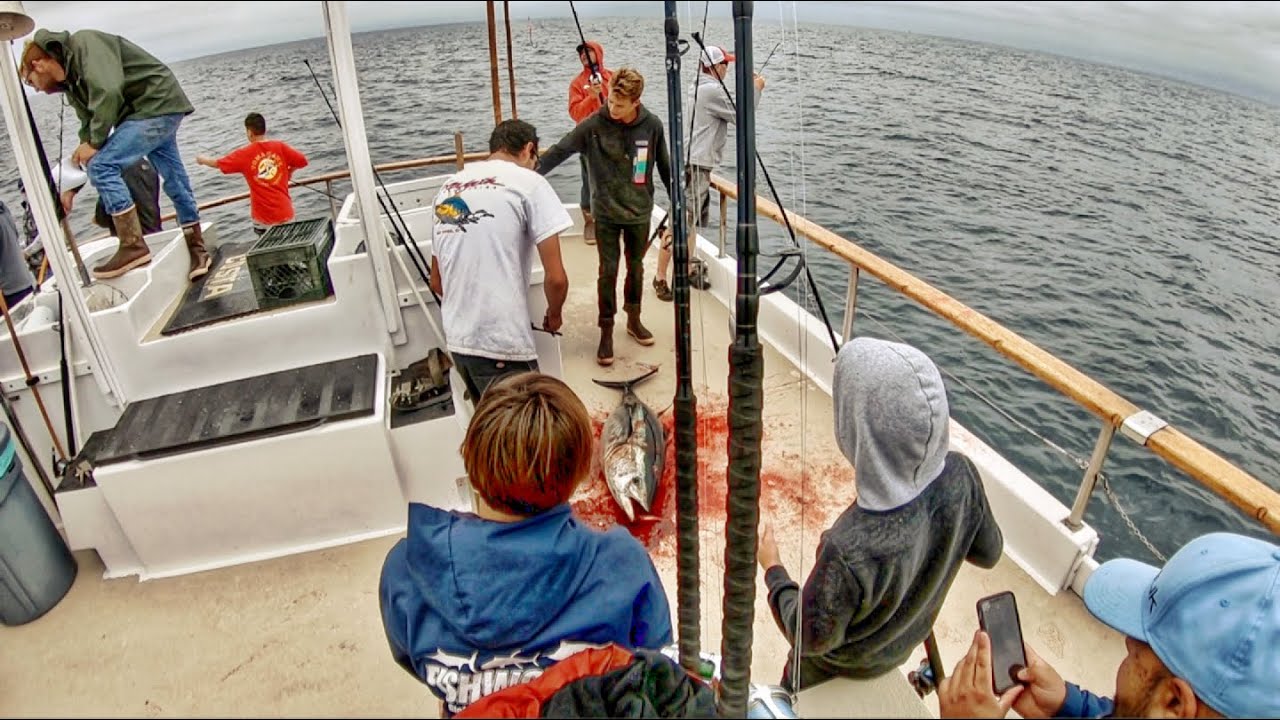Heartbreak! Bluefin fishing on the San Diego out of Seaforth Sportfishing YouTube