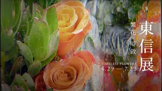 明日製作所 《東信展：繁花．時敘|Azuma Makoto: Timeless Flowers》
