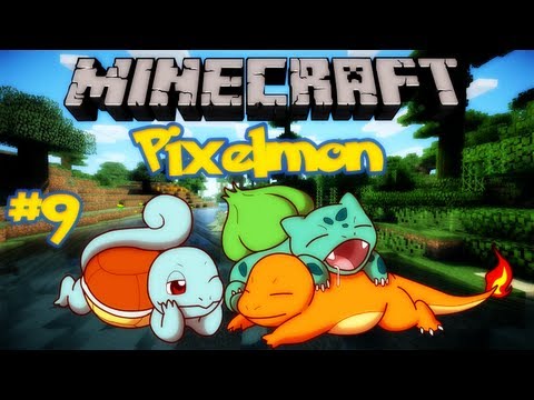 CHARIZARD VS ENDER DRAGON! WHO WILL WIN?! Minecraft 'Pi 