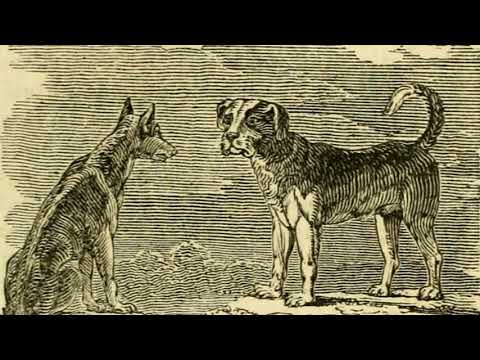 The Dog and the Wolf: A Retelling of Aesop's Fable