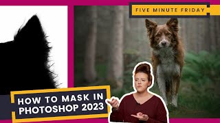 How to Mask Fur and Hair in Photoshop CC 2023 | Another Update for Masking in Photoshop! screenshot 4