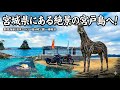 【東北バイク旅】砂浜に神秘的な流木の馬が出現⁉︎宮城県の野蒜海岸から美しすぎる海の秘境エリア嵯峨渓へ！奥松島エリアにある宮戸島の絶景が異世界すぎた…。【HONDA Gold Wing/モトブログ】