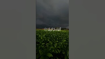 سورة المؤمنون
