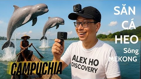 HÀNH TRÌNH QUAY PHIM CÁ HEO SÔNG MEKONG KRATIE CAMBODIA DOLPHIN CÁ HEO NƯỚC NGỌT CÓ Ở ĐÂU?