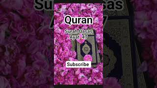 surah qasas #quranicinstructors #quran #quranpak #islamicshorts