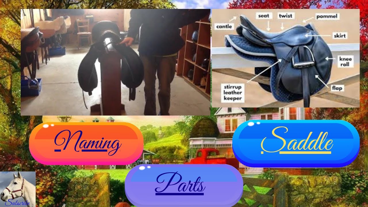 The Unbelievable Science Behind English Saddles