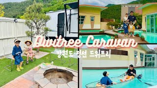 강원도 정선 여행 가볼만한곳 드위트리 카라반