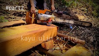 Kayu ulin kering part2 di olah sempurna menggunakan chaisaw 070