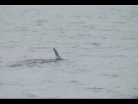 Image Result For Quebec Image Result For Quebec