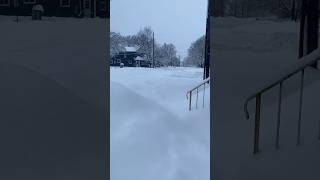 Over 150 Cm Of Snow In Sault Ste Marie