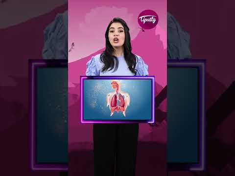 عمركم سمعتو بمركب السيليكا