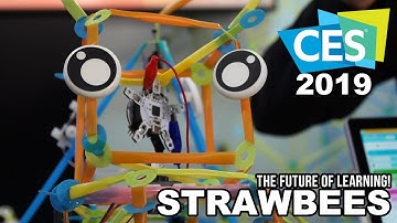 The Future of Learning! STRAWBEES at CES 2019!