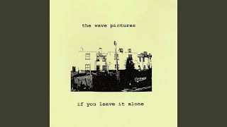 Video thumbnail of "The Wave Pictures - Tiny Craters In The Sand"