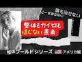 【誰も治せない腰痛】アメリカンなのに関西弁の患者さん整体を受けた反応