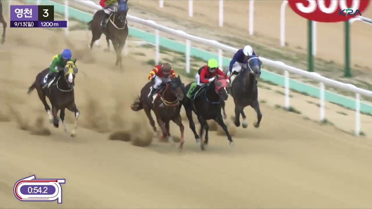 2026.9.13.영천3.혼4.꼬마 남정혁 차분한 말몰이 ,굿