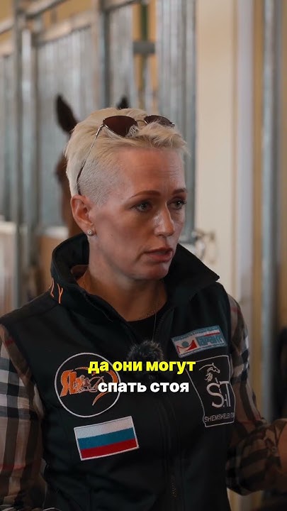 В какой позе спят лошади? Конноспортивный клуб! Про лошадей и конюшню ...