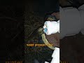 stater panel on but water pressure slow lifting #dipakplumberpurulia