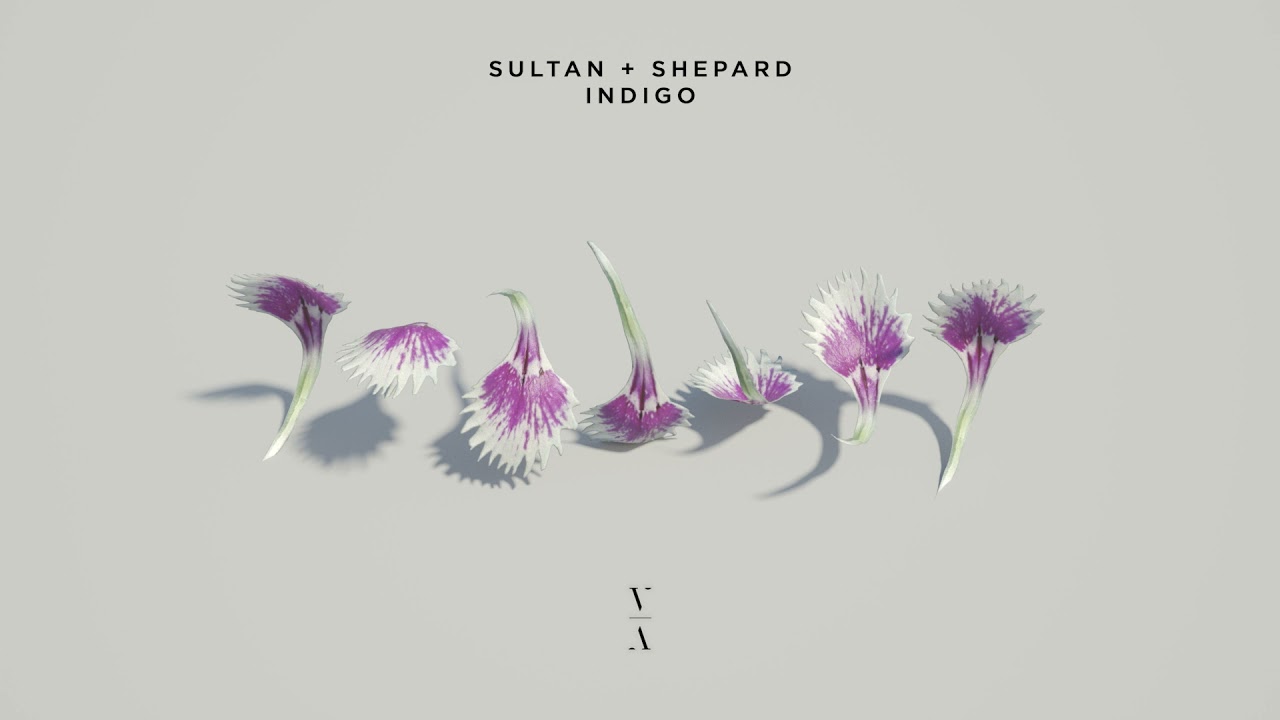 Sultan + Shepard - Indigo - YouTube