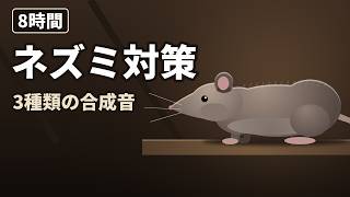 ネズミ撃退音8時間｜夜に試す3種類の合成音