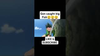 Gon Caught The King Fish