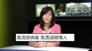 大愛電視 DaAi2HD 今夜說新聞 20120828
